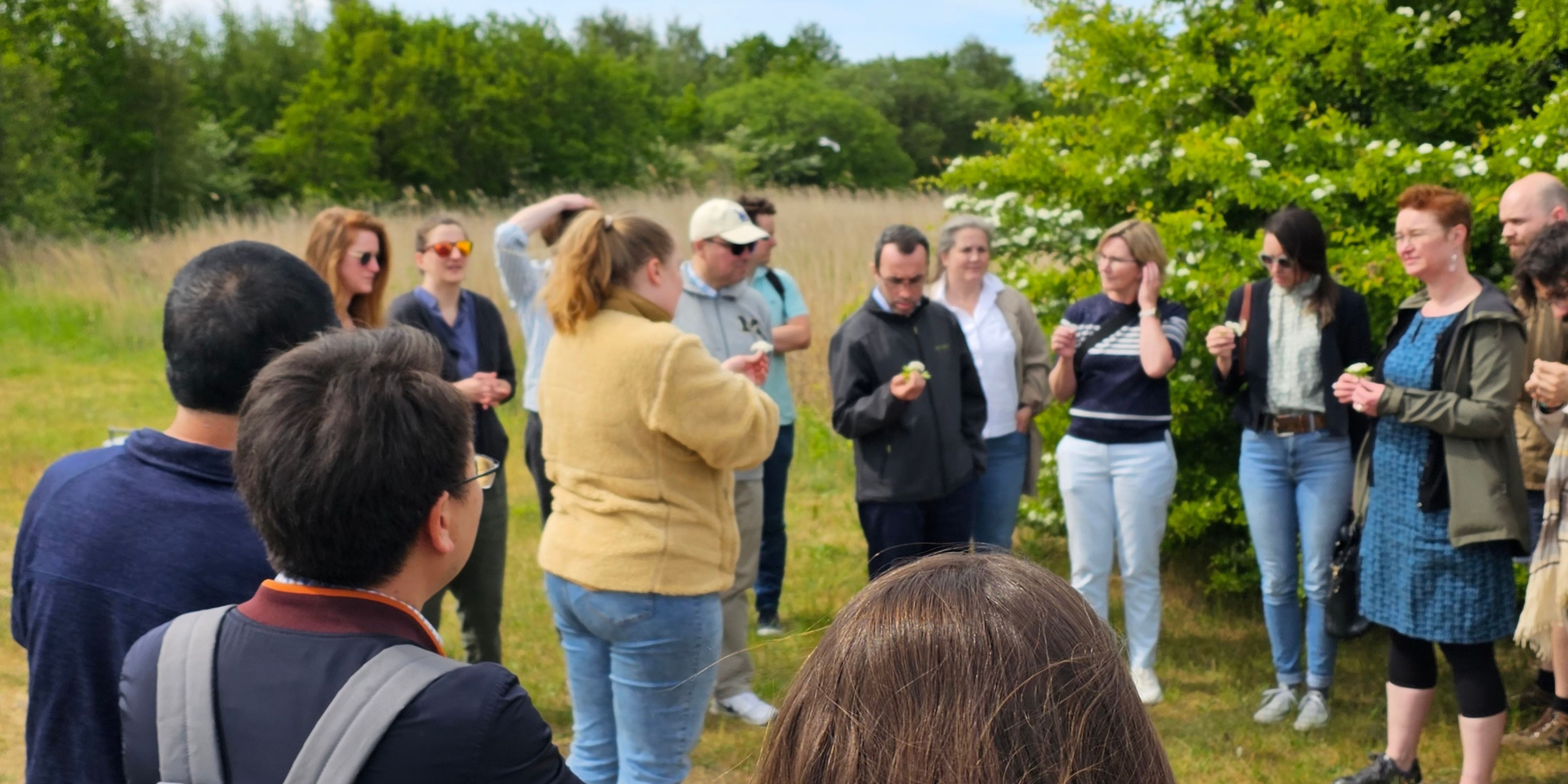 <b>ARKEN</b> <br>Grøn teambuilding</br>